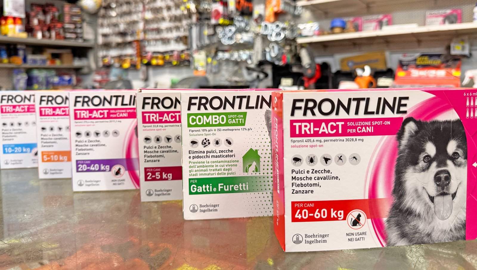 Accessori per animali